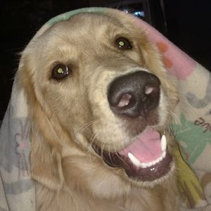 Meet your Posher, Stacey